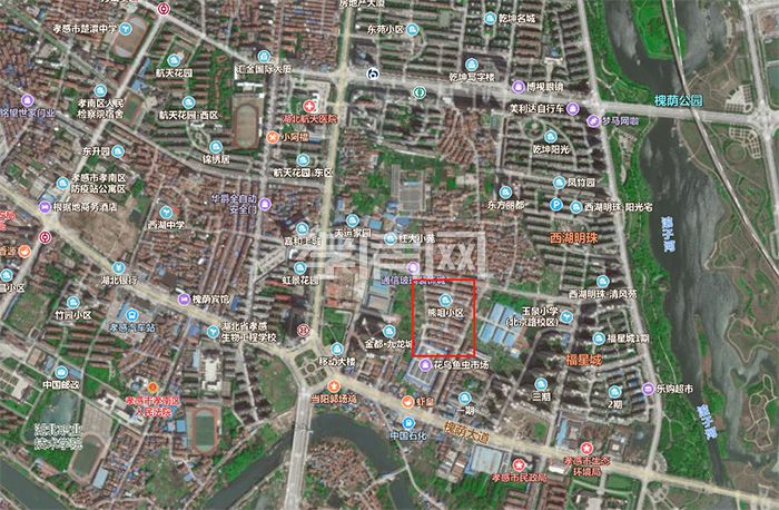 2019102515495757603vgknfi.jpg 熊咀.jpg