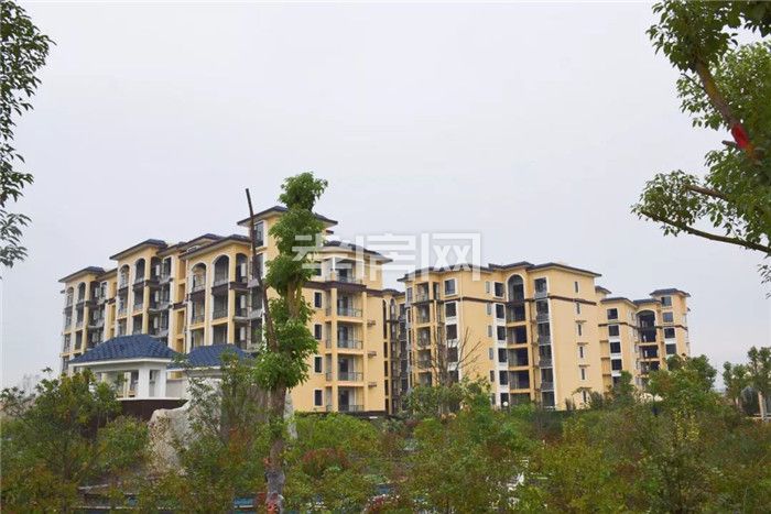 2019102918581863950bwzutm.jpg 2.jpg