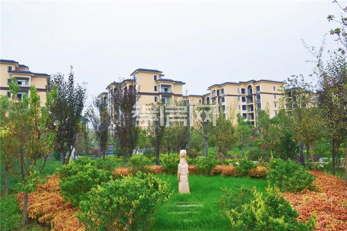 2019102919011519891hfjhf6.jpg 3.jpg