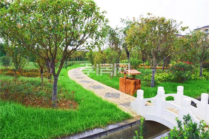 20191029191331780175xzepj.jpg 6.jpg