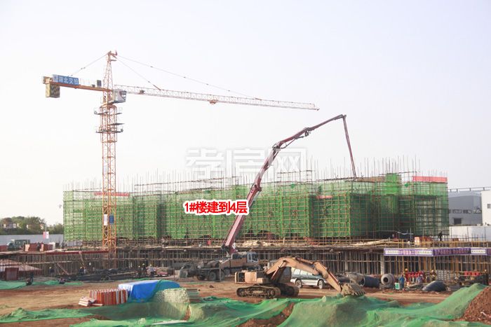 2019103014175079065vuszsc.jpg _MG_6026.jpg