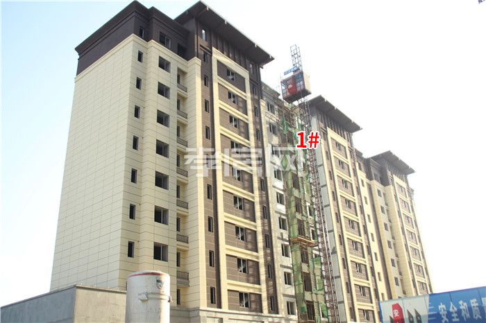 2019103109420251029r3tfsm.jpg 4.jpg