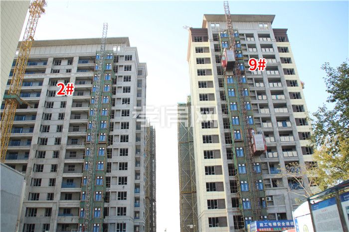 20191031094226844726azhqv.jpg 1.jpg