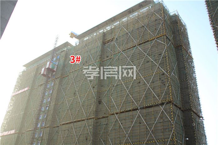 2019103109424445249aw4zuh.jpg 6.jpg