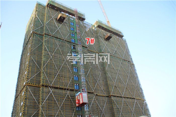 2019103109425669073htl8ie.jpg 5.jpg