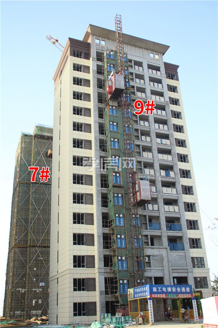 2019103109430852727zvn3ka.jpg 2.jpg