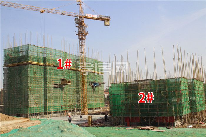 2019103111030298187yjustt.jpg 4.jpg