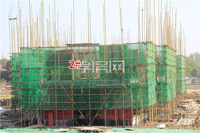 2019103111031362201ziiccz.jpg 2.jpg