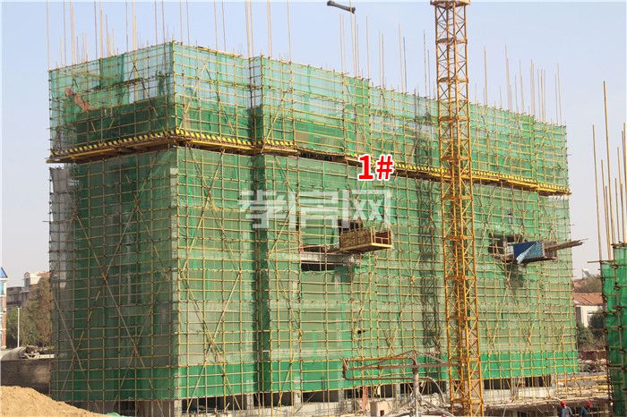 2019103111032390232jjnw9v.jpg 3(1).jpg