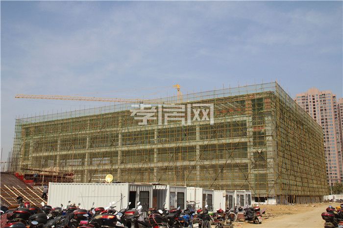 2019110117322596846o48hl2.jpg 4.jpg