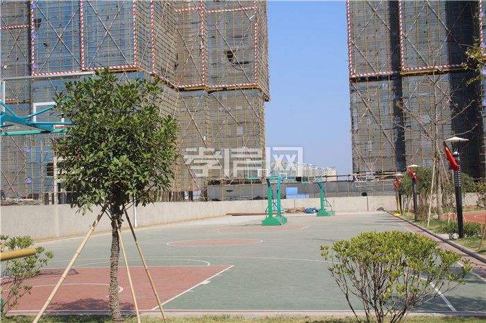 2019110417030427376w2jrcc.jpg 3.jpg