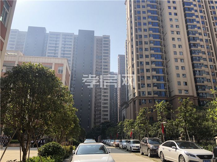 2019110417160376443ai8cru.jpg 13.jpg