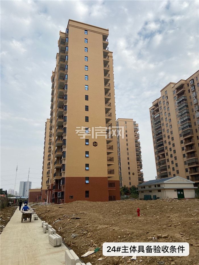 金桂園24#樓 金桂園24#樓