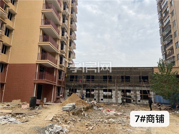 2019110616463922459anghnv.jpg 2.jpg