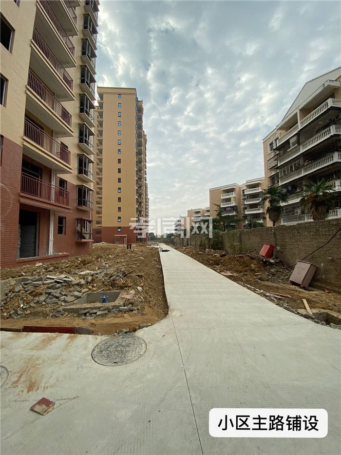 2019110616480315451ycgao5.jpg 4.jpg