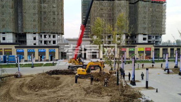 2019110810160248568sefwtg.png 4-1.png