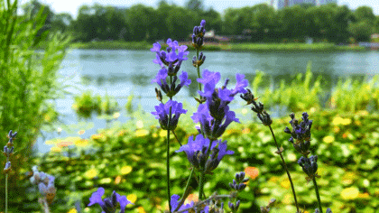 2019111315055128599kc2urz.gif 2.gif