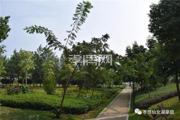 2019111315064731901vnsr76.jpg 3.jpg