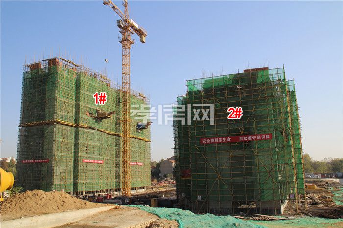 2019111617155873359wmbxgt.jpg 1.jpg