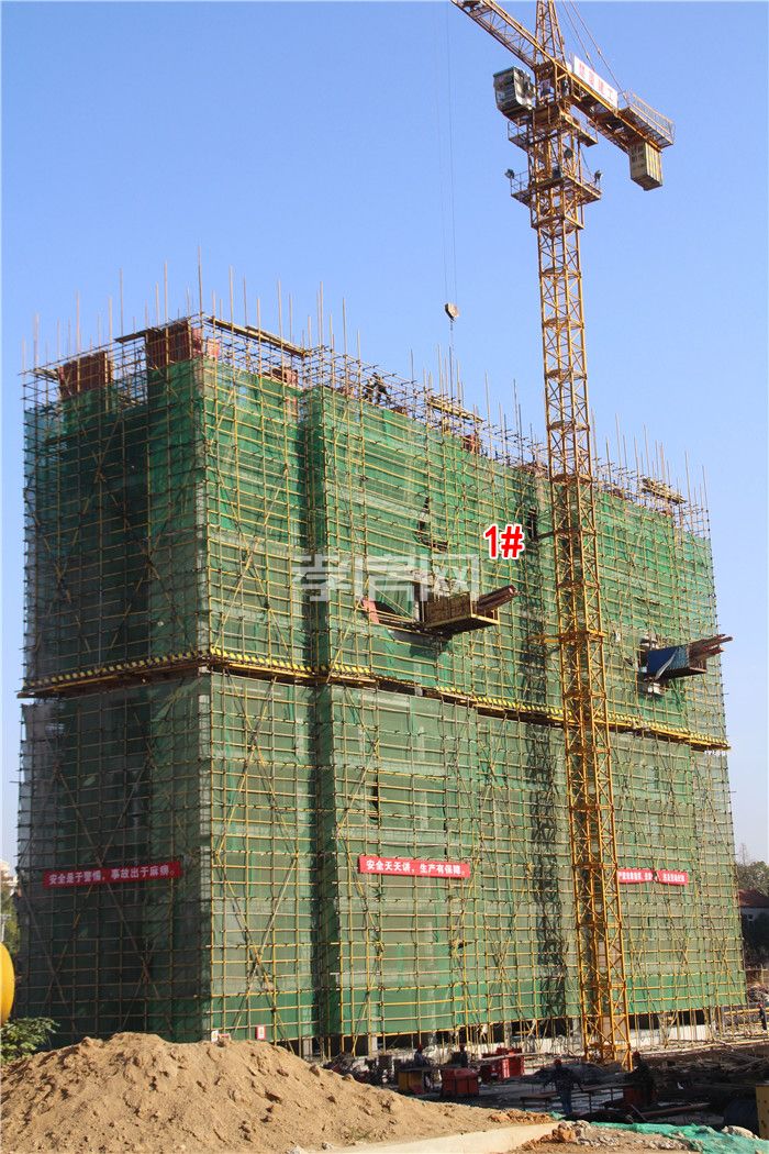 2019111617161044975kbiq9x.jpg 3.jpg