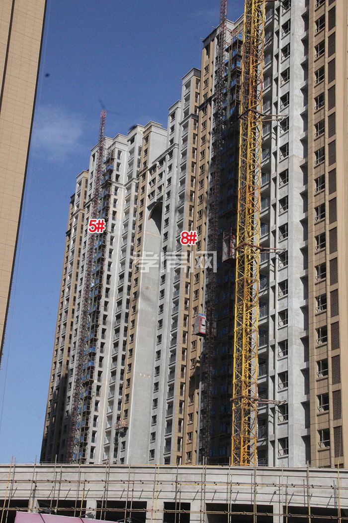 海川梧桐郡 工程進度