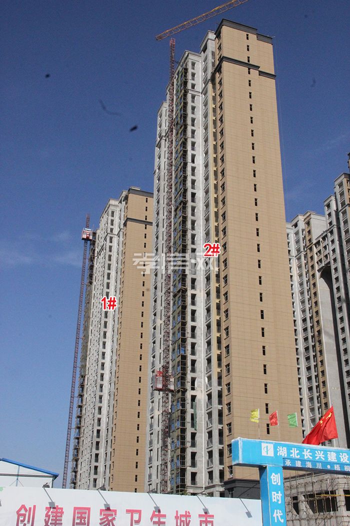 海川梧桐郡 工程進度