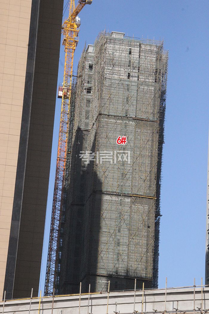 海川梧桐郡 工程進度