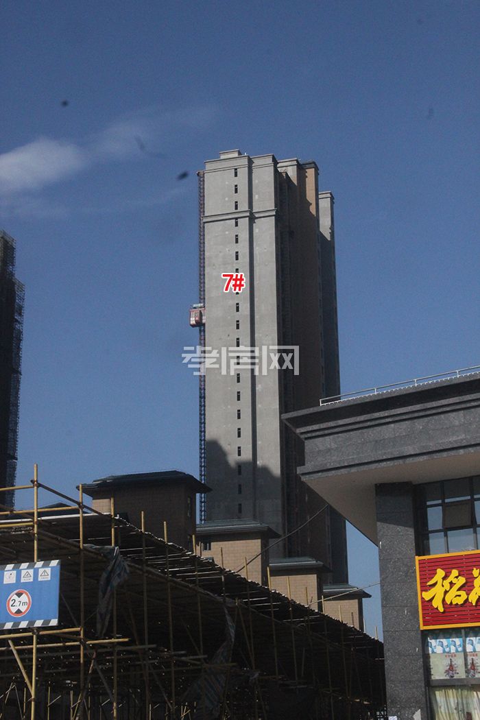 海川梧桐郡 工程進度