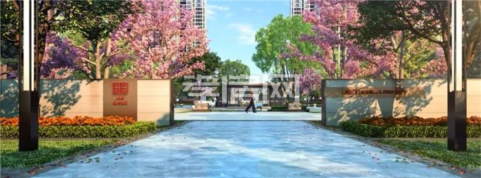 2019112510173965566s59vai.jpg 2.jpg