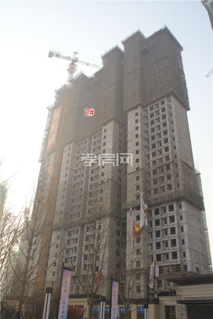 2019120619214766972woqvpj.jpg 3.jpg