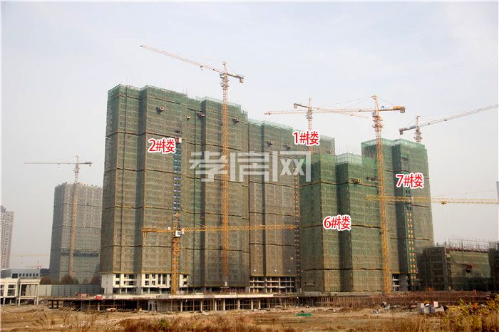 天縱御府12月進(jìn)度