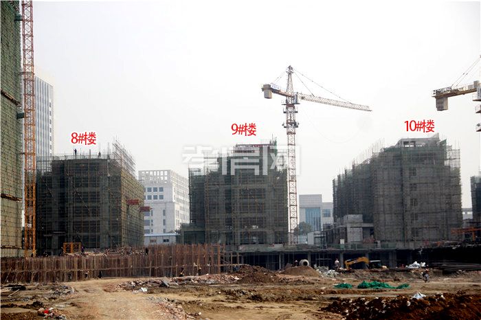 天縱御府12月進(jìn)度