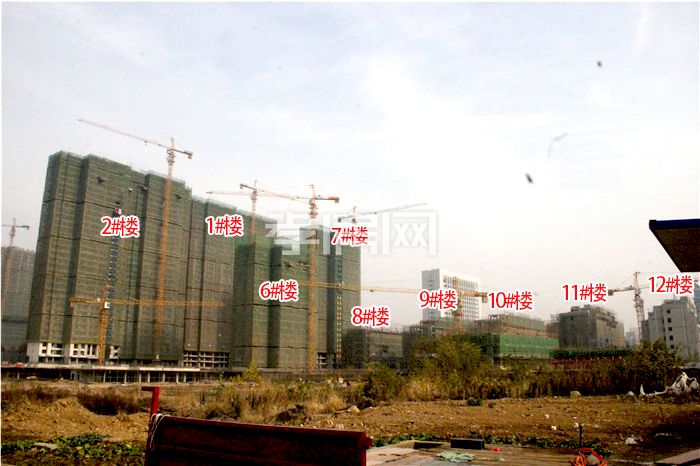 天縱御府12月進(jìn)度