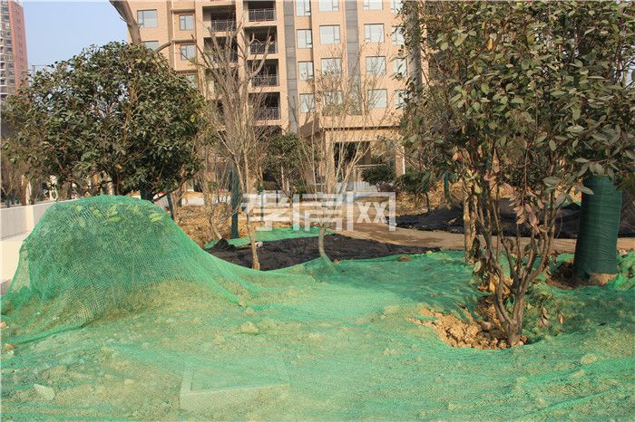 2019121315545662712xj1p4c.jpg 4(1).jpg