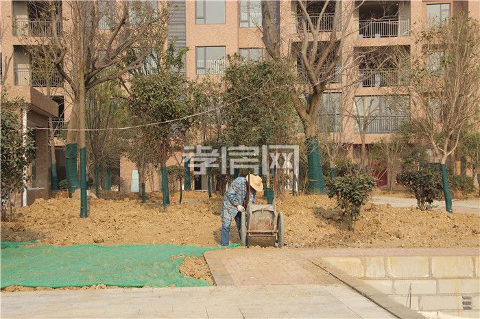 20191213155507901364i2meb.jpg 5.jpg