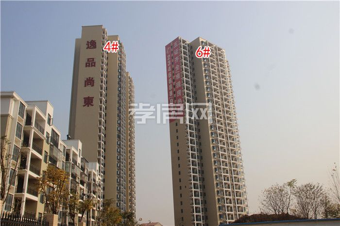 2019121316472834477qublid.jpg 2.jpg