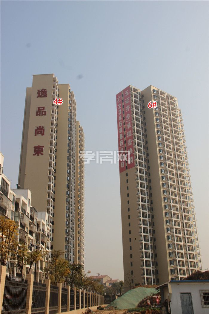 2019121316473640557o69ztu.jpg 1.jpg