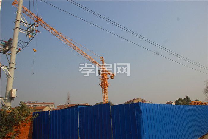 2019121316475449717realzr.jpg 7#.jpg