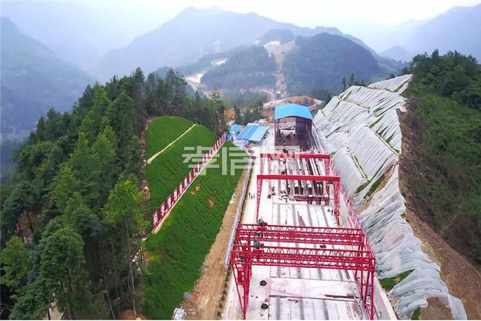 2019121909313917504pjnizc.jpg 5.jpg