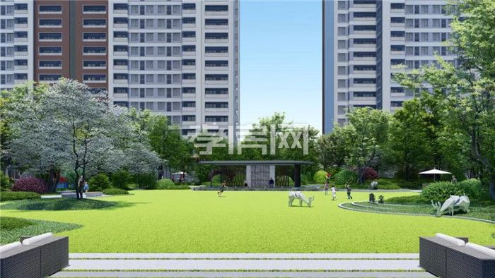 2019122011350114586jmm8be.jpg 4.jpg