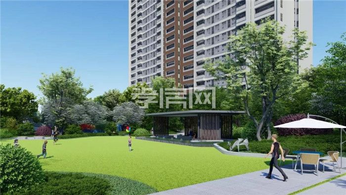 2019122011354917009b7vlmn.jpg 6.jpg