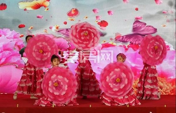 2019122309115435479cfomxp.jpg 11.jpg