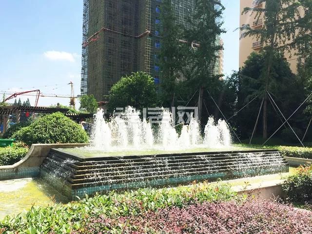 201912271436517433898grzo.jpg 2.jpg