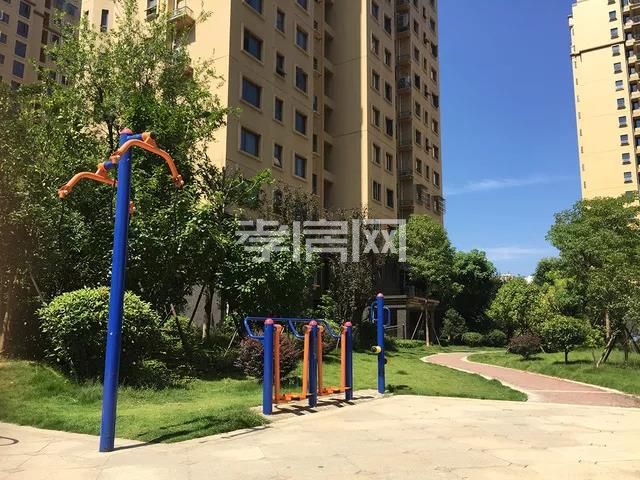 2019122714380070906jsflmd.jpg 3.jpg