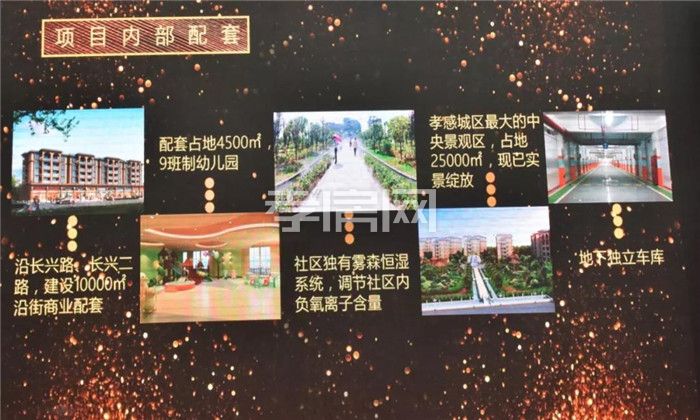 2020010216230550349lvdgx7.jpg 6.jpg