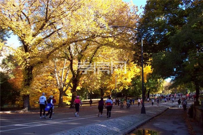 2020010814220356404jz9kmq.jpg 4.jpg