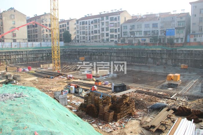 2020011509090298994wndgsb.jpg IMG_6500.jpg