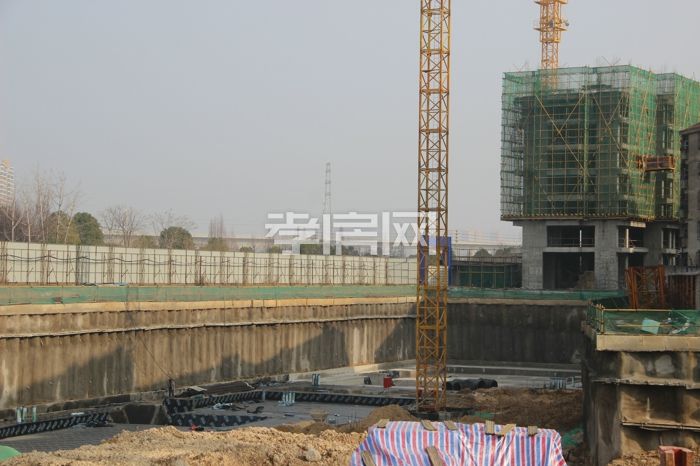 2020011509092449589g4d3kr.jpg IMG_6501.jpg