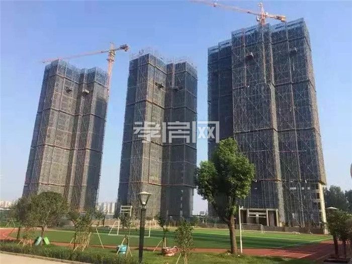 2020011514093187545segq21.jpg 9.jpg