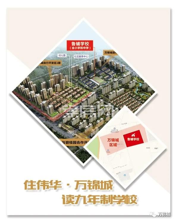 2020040316554452423kw7kct.jpg 3.jpg